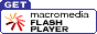 Tlchargement de Flash Player (Moins d'une minute) pour entrer la FLASH VERSION